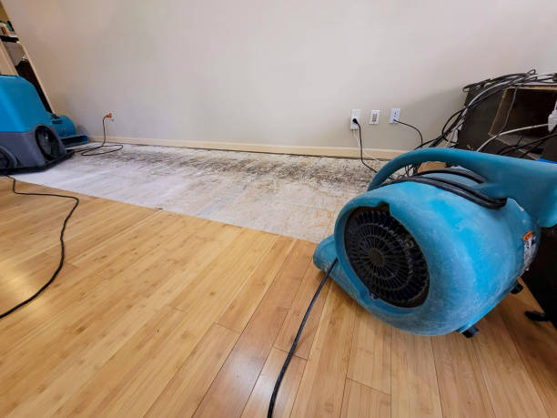 Professional Water Removal technician working in Chardon, OH